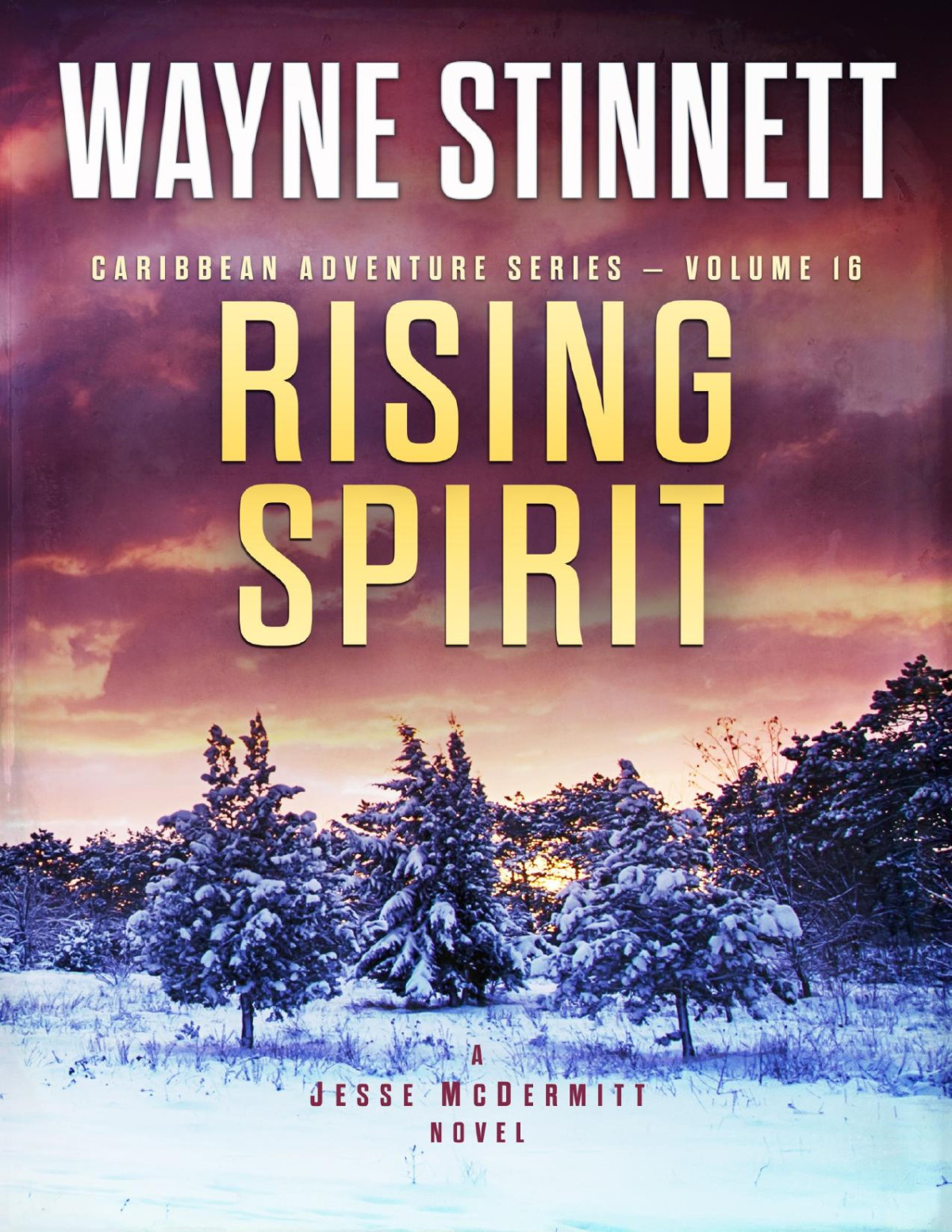 Rising Spirit Wayne Stinnett