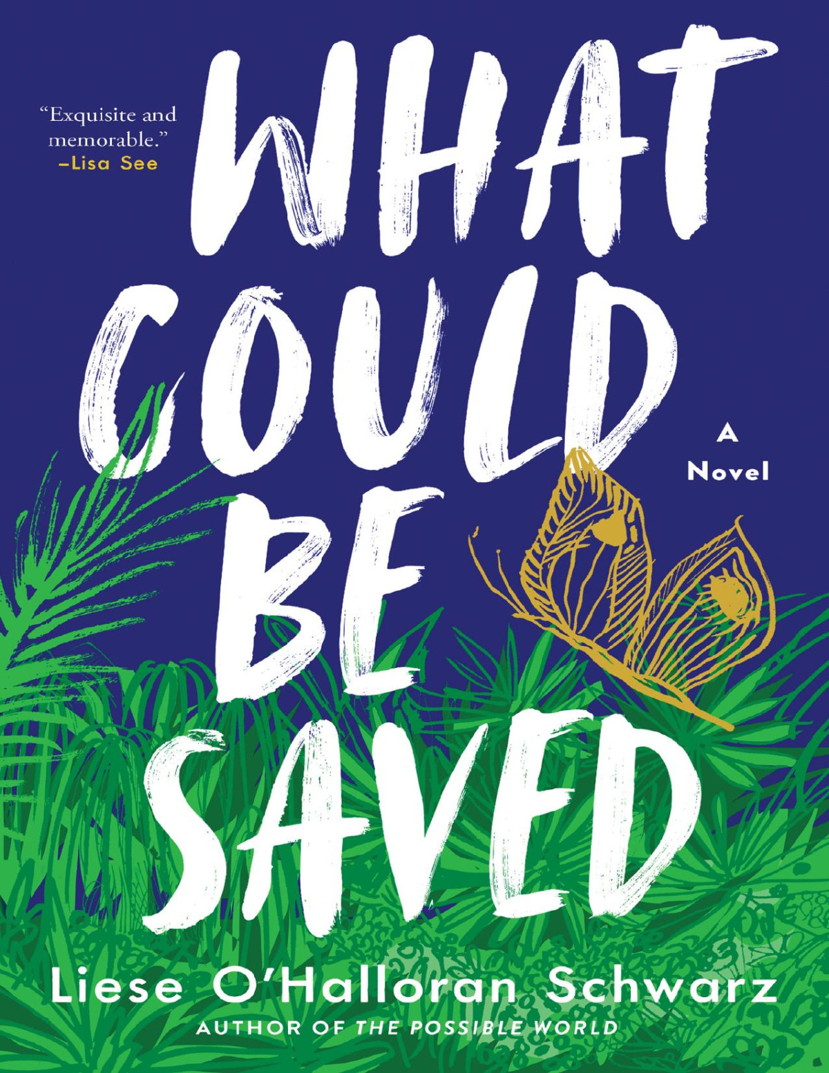 What Could Be Saved A Novel Liese Ohalloran Schwarz