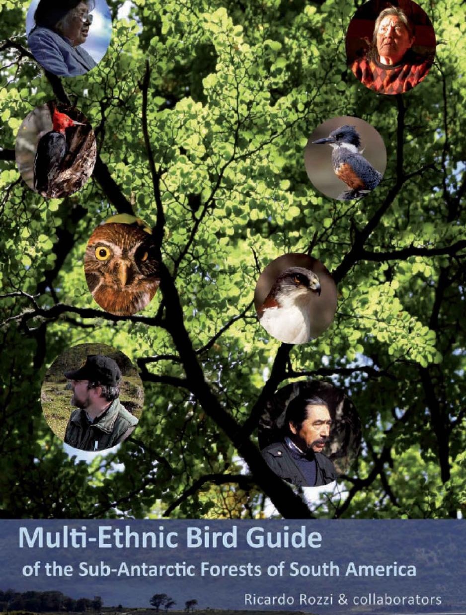 Multiethnic Bird Guide Of The Subantarctic Forests Of South America 2nd Edition Ricardo Rozzi