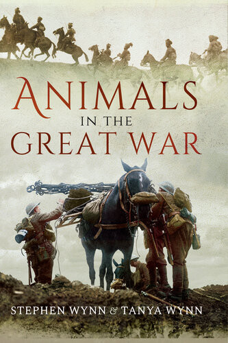 Animals In The Great War Tanya Wynn Stephen Wynn