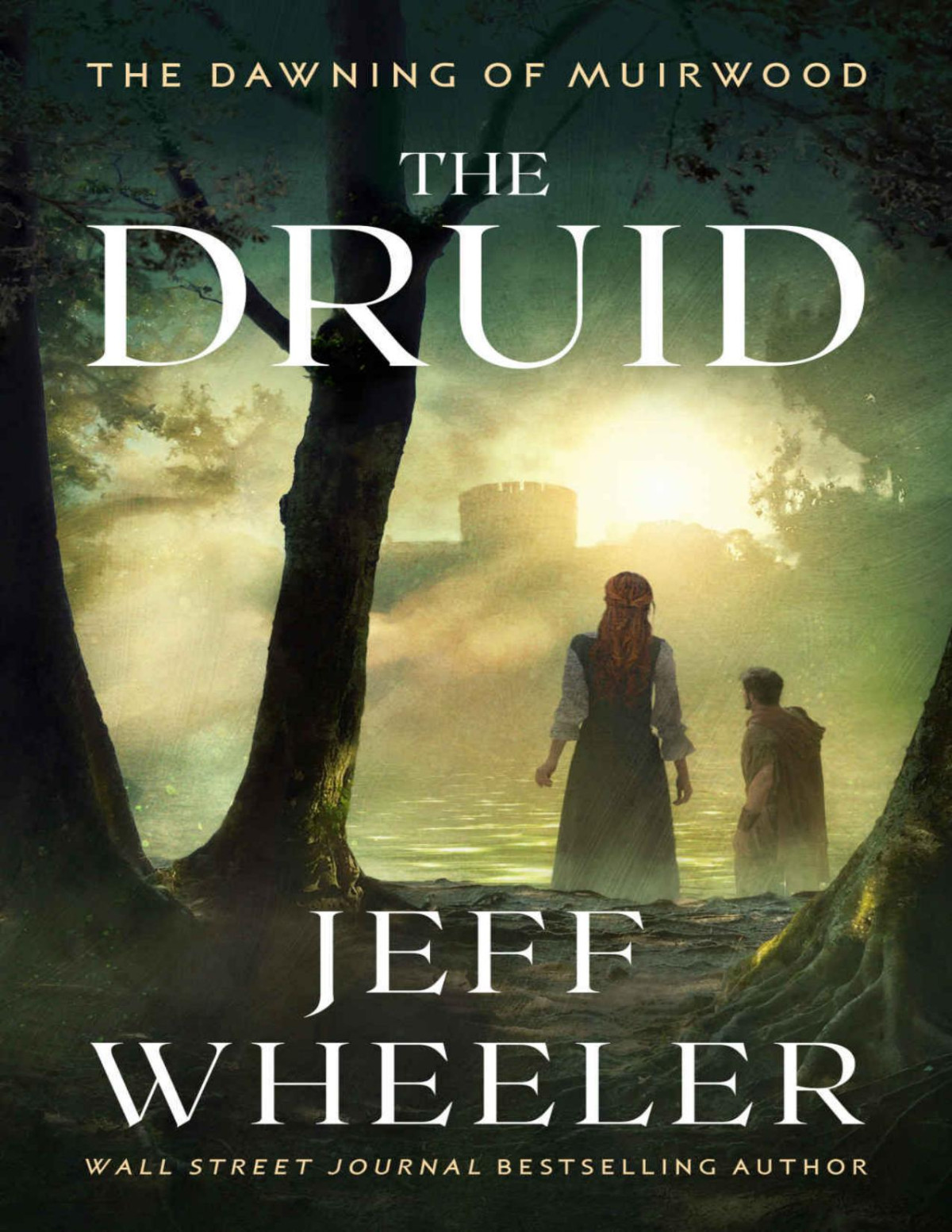 The Druid The Dawning Of Muirwood Jeff Wheeler