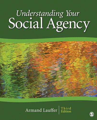 Understanding Your Social Agency 3rd Edition Armand Lauffer