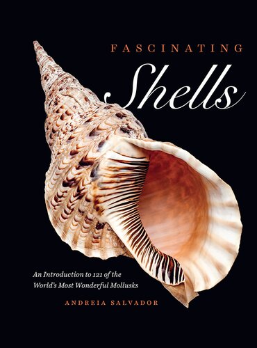 Fascinating Shells An Introduction To 121 Of The Worlds Most Wonderful Mollusks Andreia Salvador
