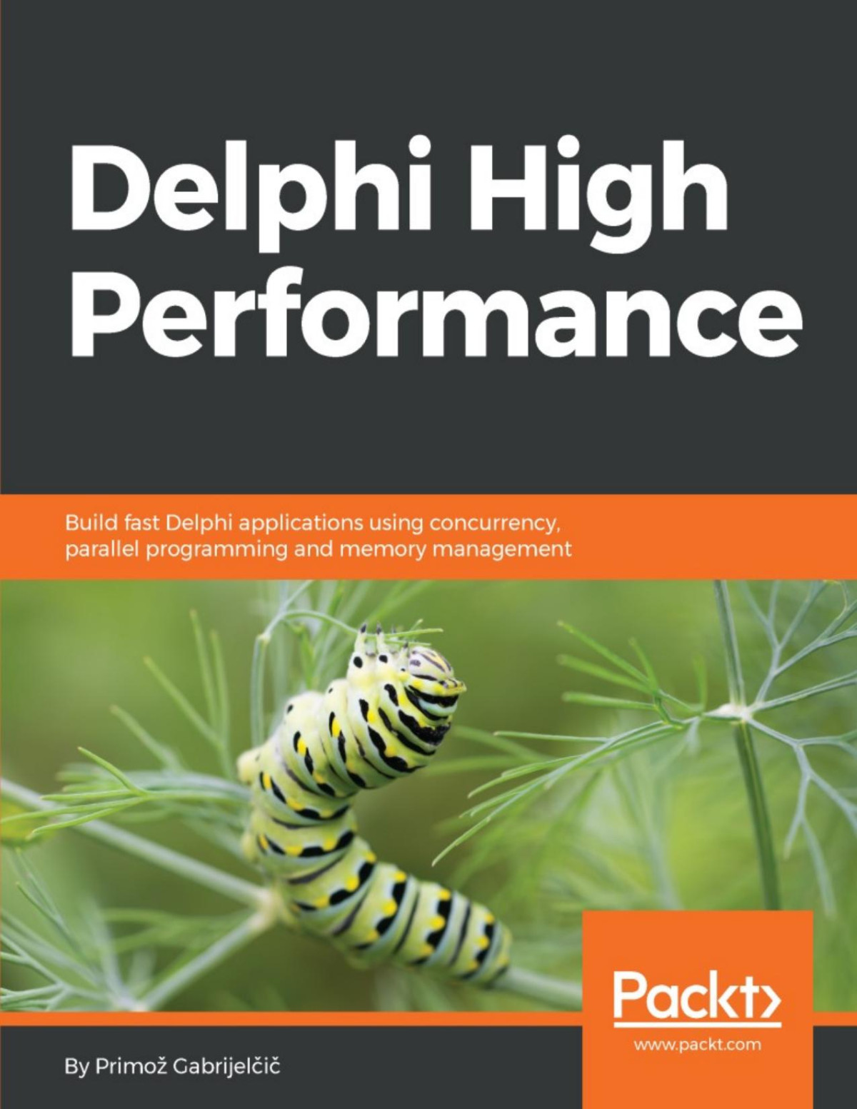 Delphi High Performance Primo Gabrijeli