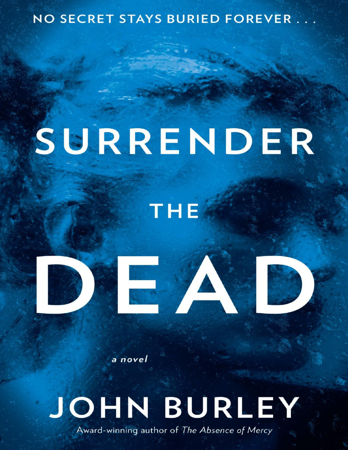 Surrender The Dead John Burley