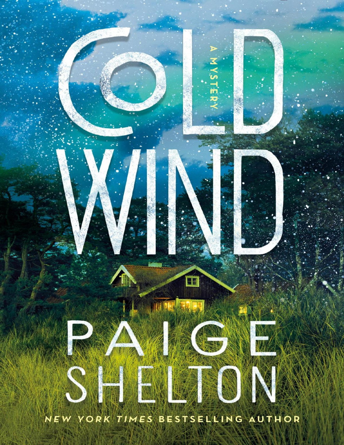 Cold Wind Alaska Wild Mystery 2 Paige Shelton