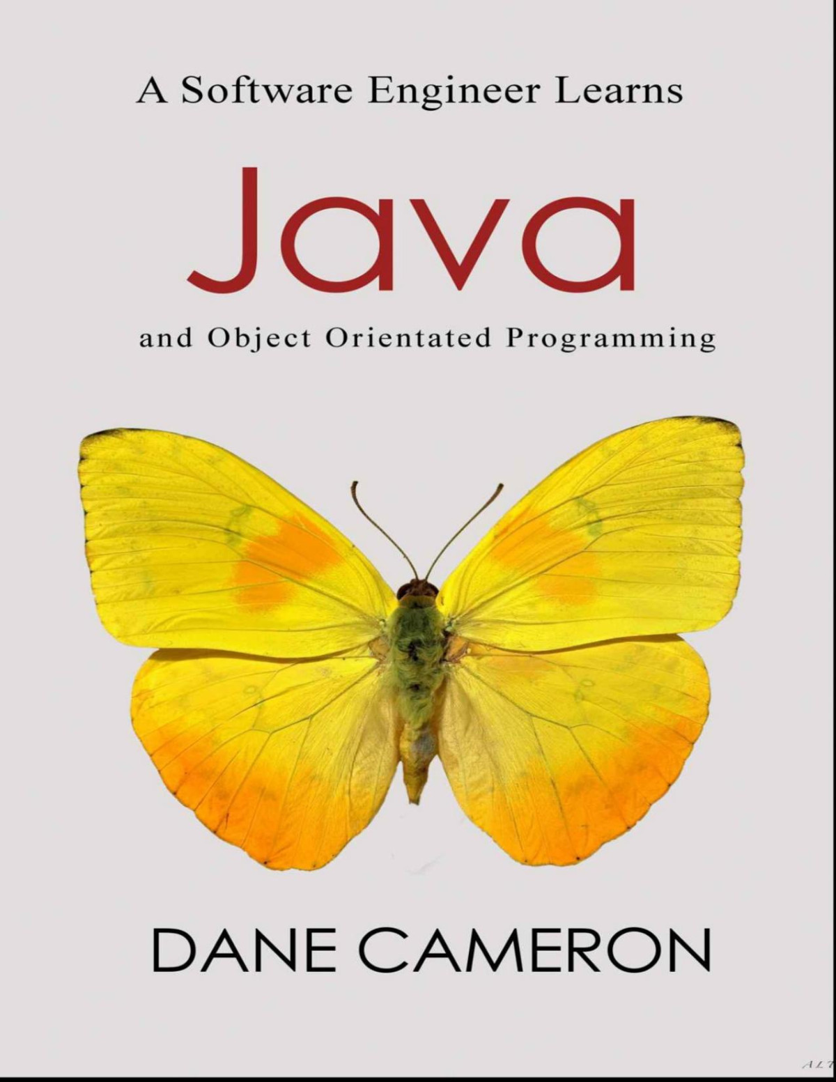 A Software Engineer Learns Java And Object Orientated Programming Cameron