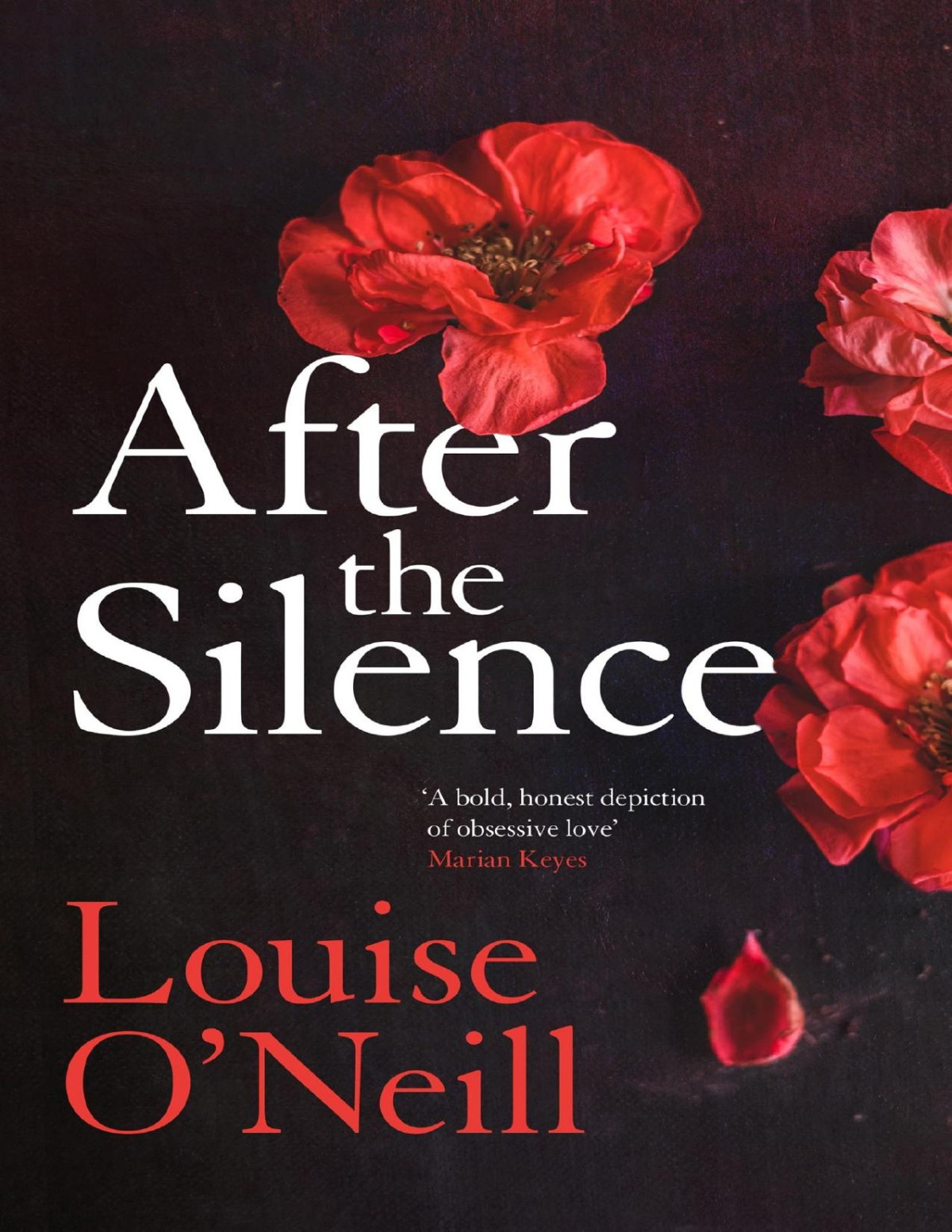 After The Silence Louise Oneill