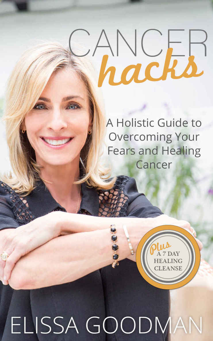 Cancer Hacks A Holistic Guide To Overcoming Your Fears And Healing Cancer Elissa Goodman