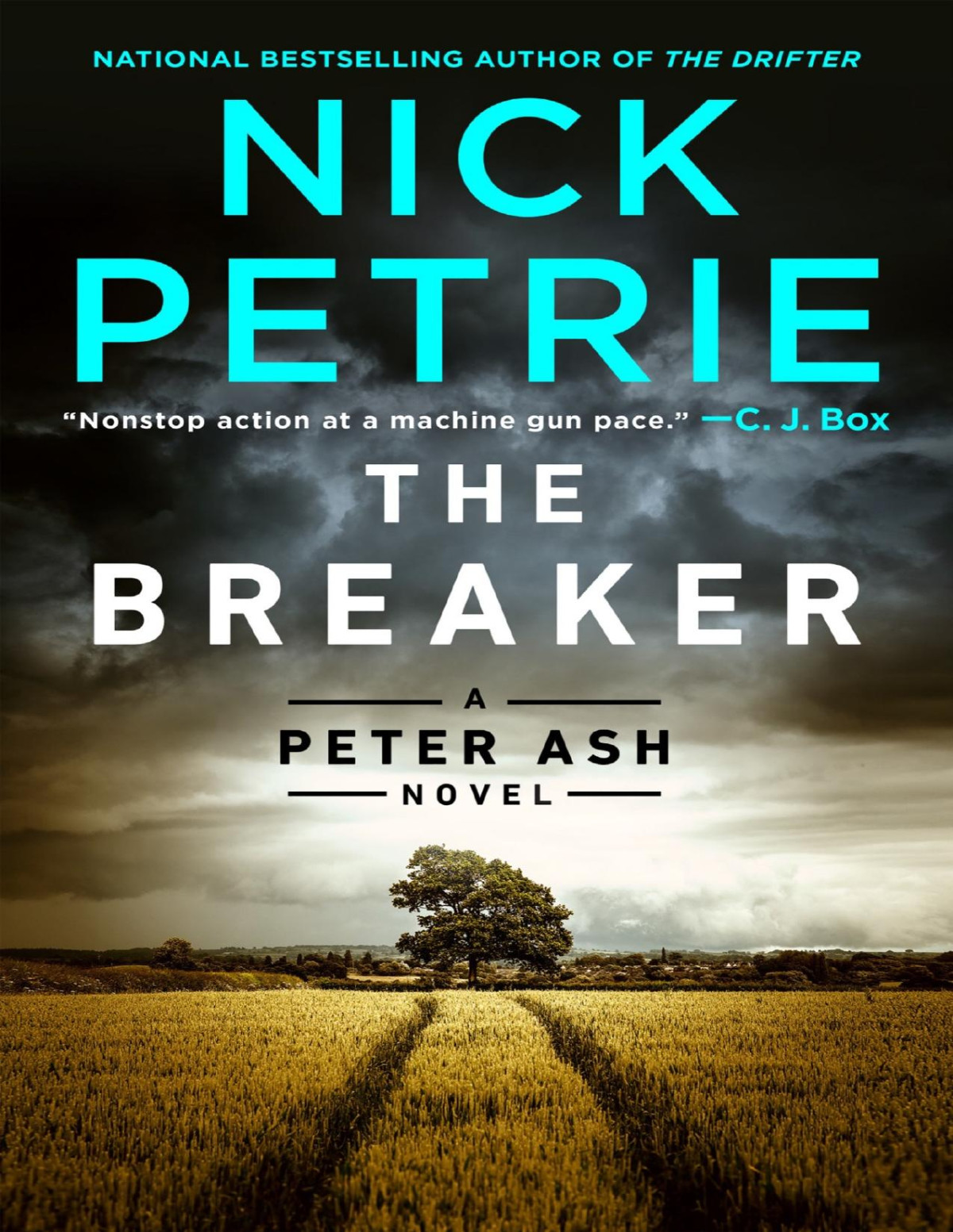 The Breaker Nick Petrie