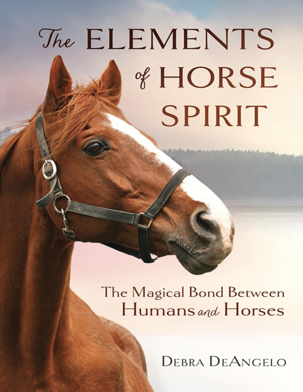 The Elements of Horse Spirit Debra Deangelo
