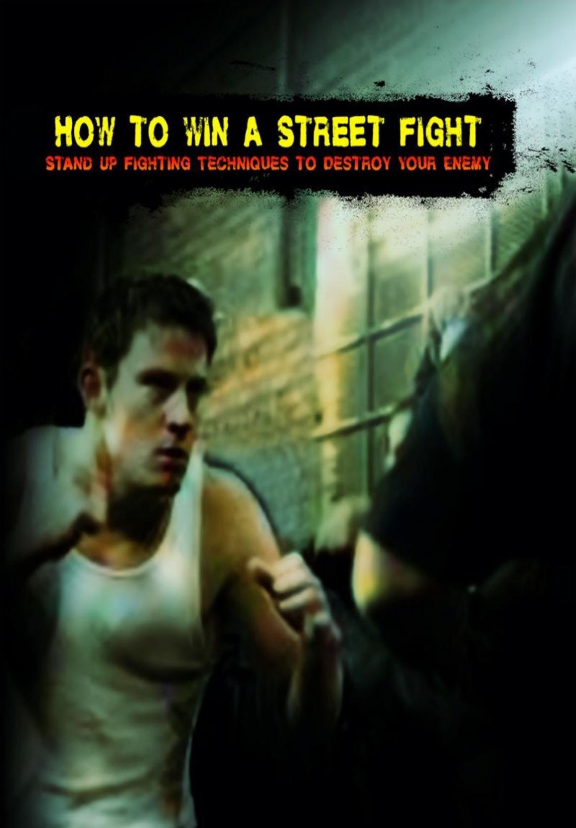 How To Win A Street Fight Stand Up Fighting Techniques To Destroy Your Enemy Sam Fury