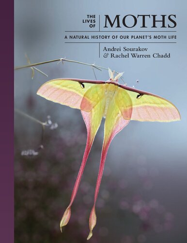 The Lives Of Moths A Natural History Of Our Planets Moth Life Andrei Sourakov