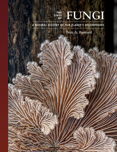 The Lives Of Fungi A Natural History Of Our Planets Decomposers Britt Bunyard