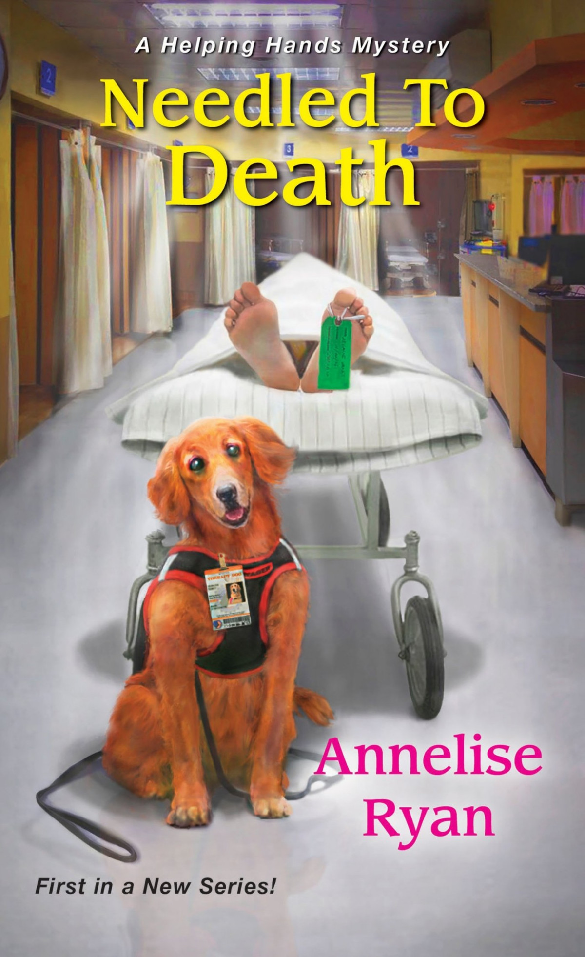 Needled To Death Helping Hands Mystery 1 Annelise Ryan