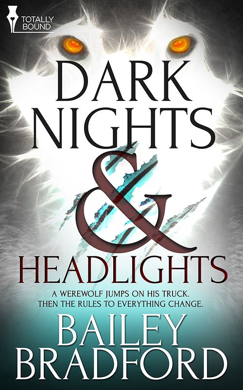 Dark Nights And Headlights Bailey Bradford