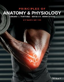 Principles Of Anatomy And Physiology 16th Edition Gerard J Tortora