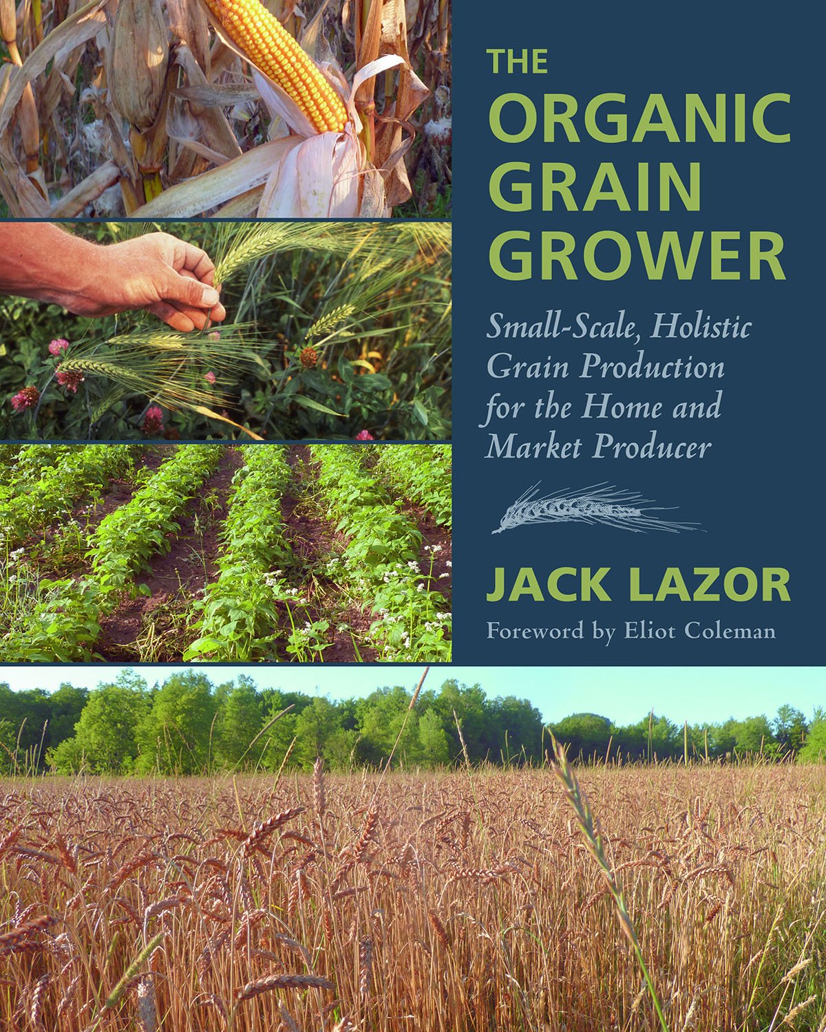 The Organic Grain Grower Smallscale Holistic Grain Production For The Home And Market Producer Illustrated Jack Lazor