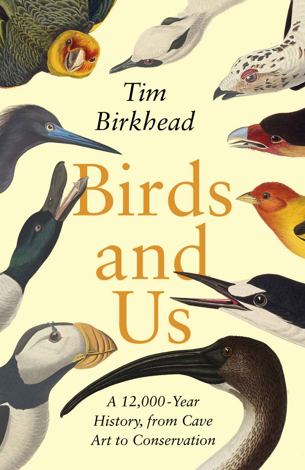 Birds And Us A 12000 Year History From Cave Art To Conservation Tim Birkhead