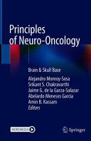 Principles Of Neurooncology Brain Skull Base 1st Edition Alejandro Monroysosa