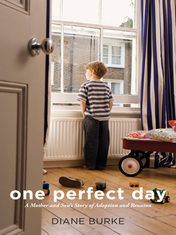 One Perfect Day Burke Diane