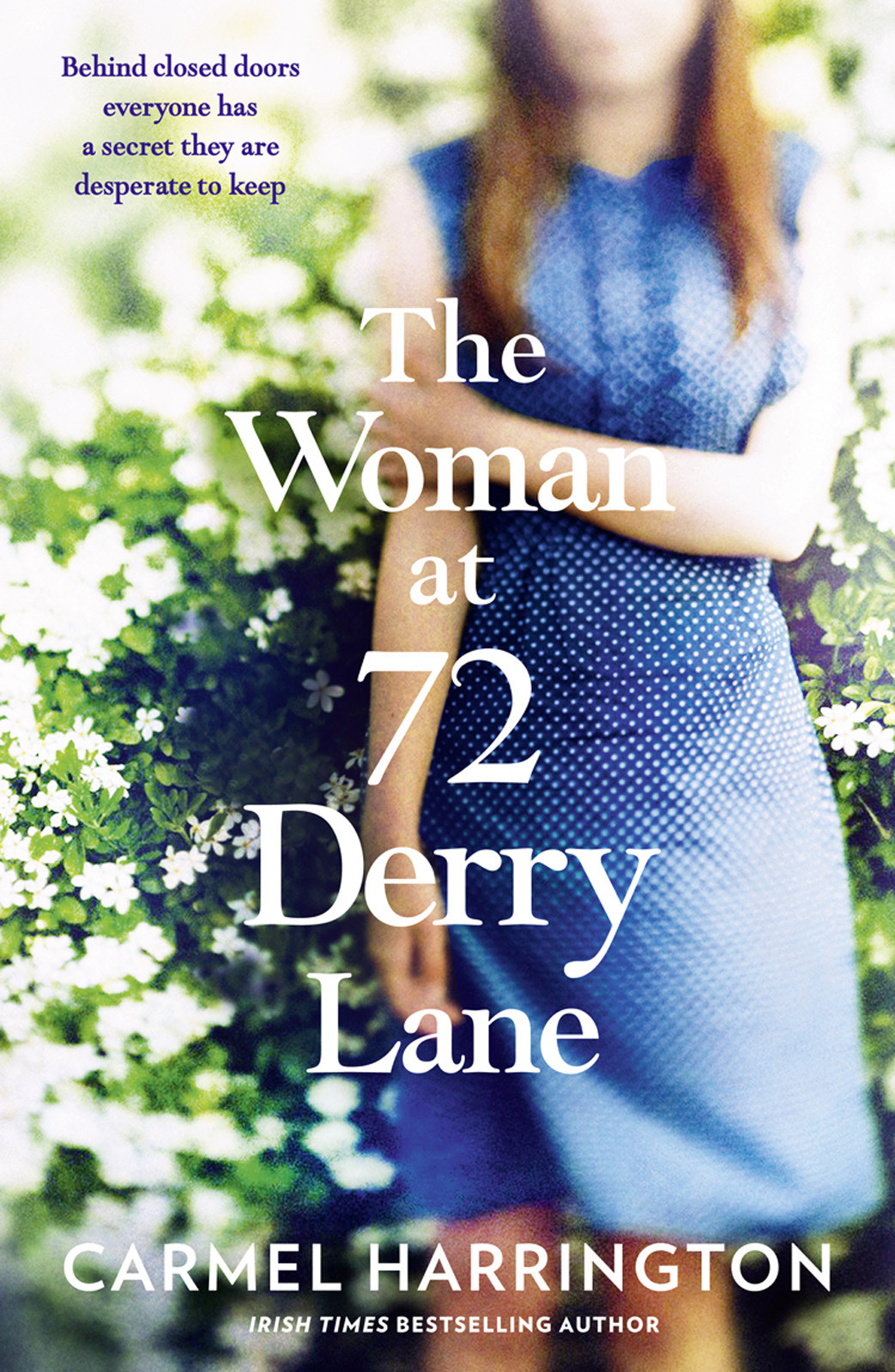 The Woman At 72 Derry Lane Harrington Carmel