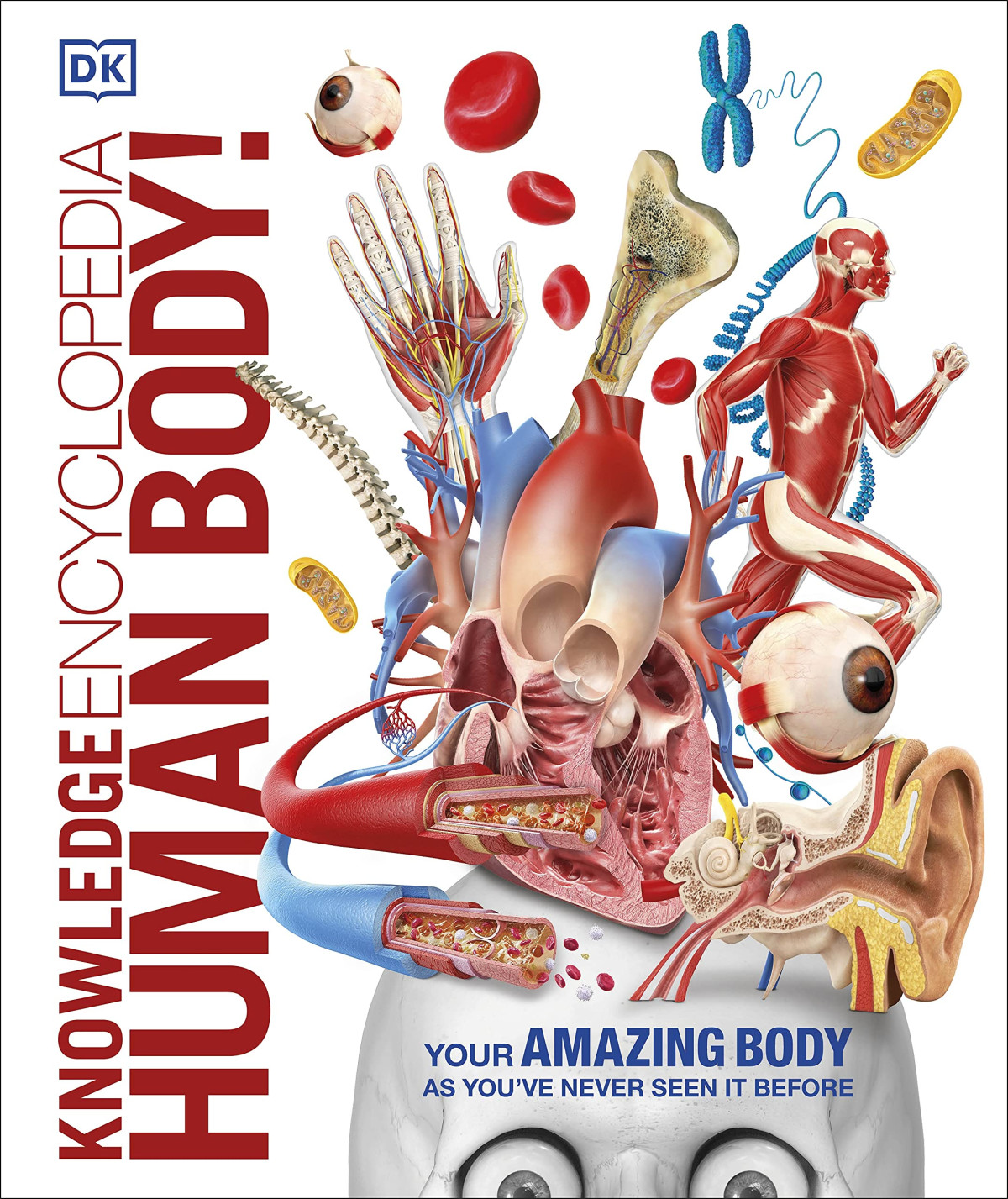 Knowledge Encyclopedia Human Body Dorling Kindersley Publishing Staff
