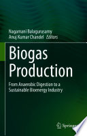 Biogas Production From Anaerobic Digestion To A Sustainable Bioenergy Industry 1st Edition Nagamani Balagurusamy