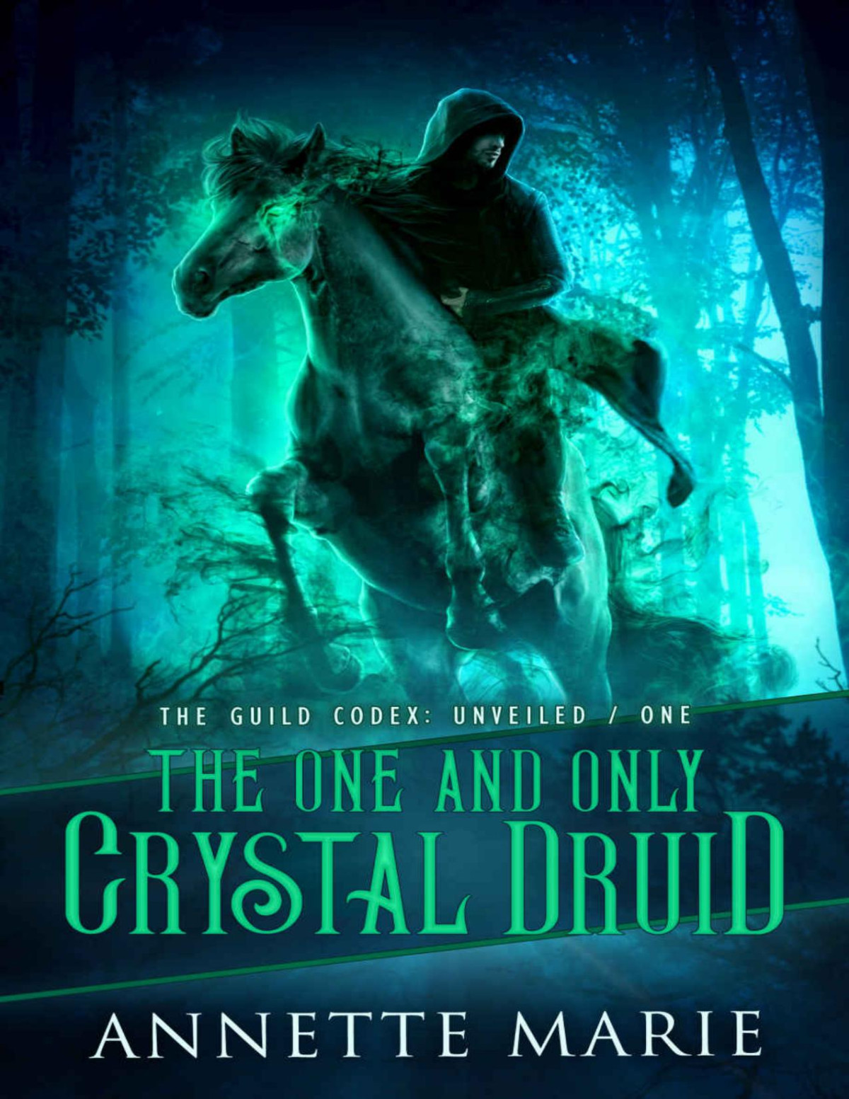The One And Only Crystal Druid The Guild Codex Unveiled Book 1 Annette Marie