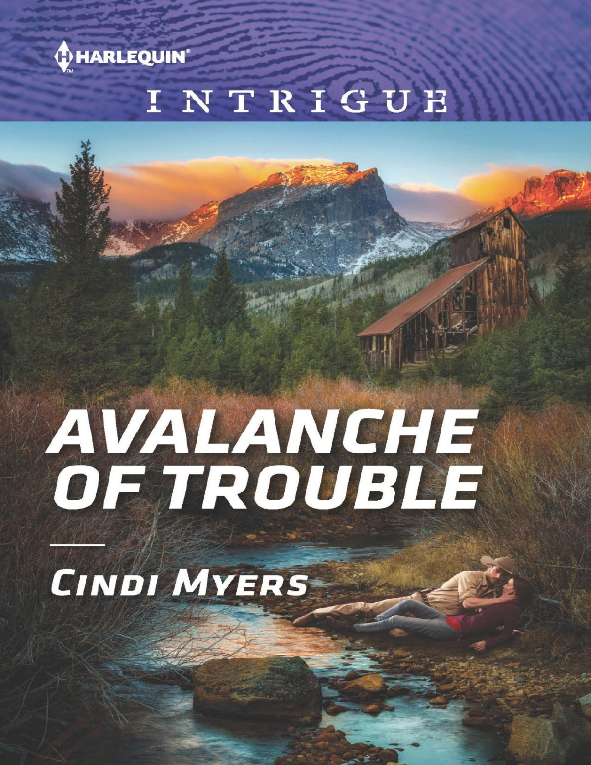 Avalanche Of Trouble Cindi Myers