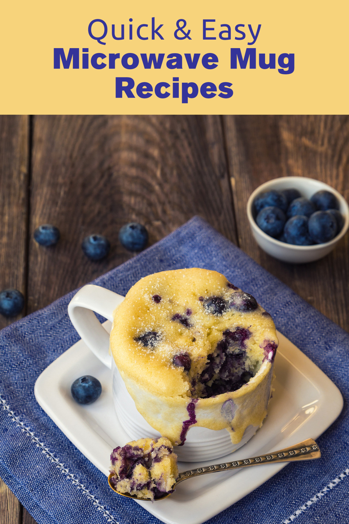 Quick Easy Microwave Mug Recipes Jr Stevens