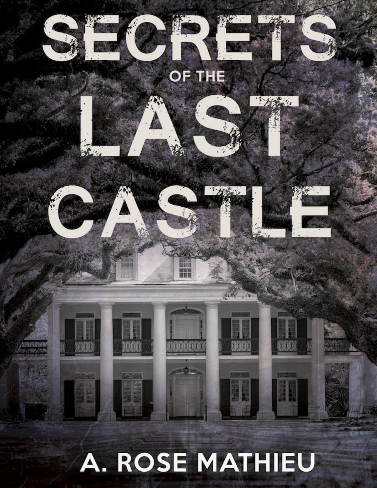 Secrets Of The Last Castle A Rose Mathieu