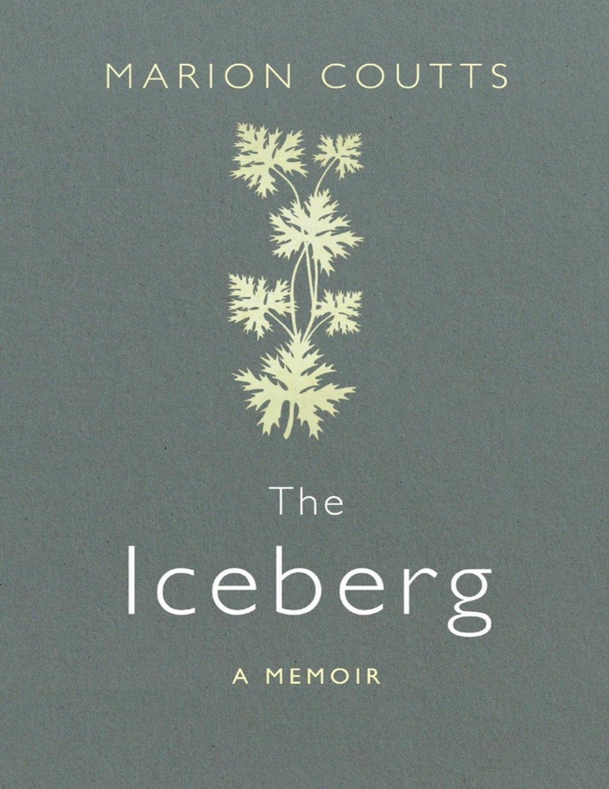 The Iceberg A Memoir Marion Coutts