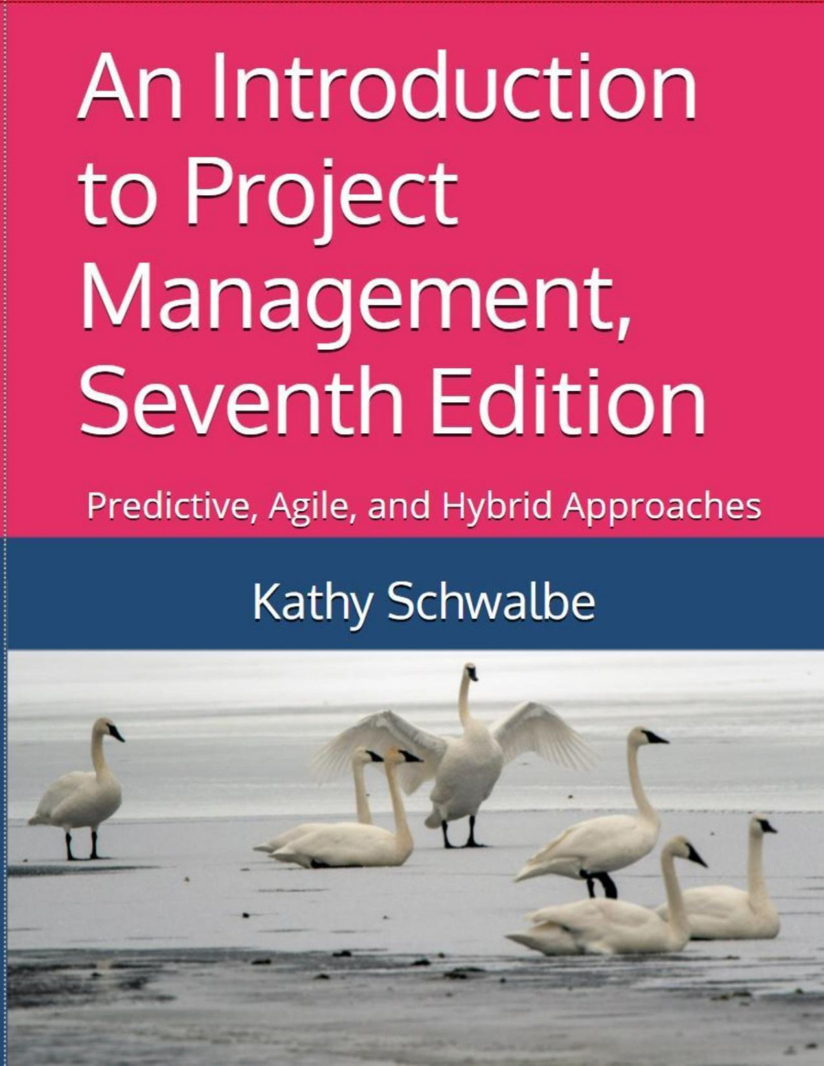 An Introduction To Project Management Seventh Edition Predictive Agile And Hybrid Approaches Kathy Schwalbe