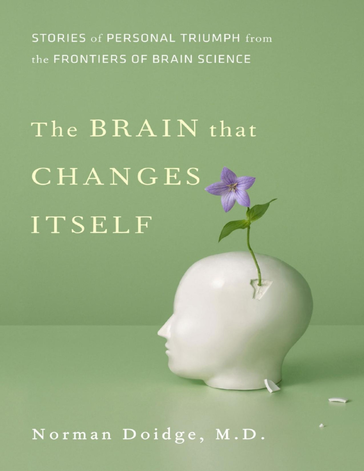 The Brain That Changes Itself Stories Of Personal Triumph From The Frontiers Of Brain Science Norman Doidge