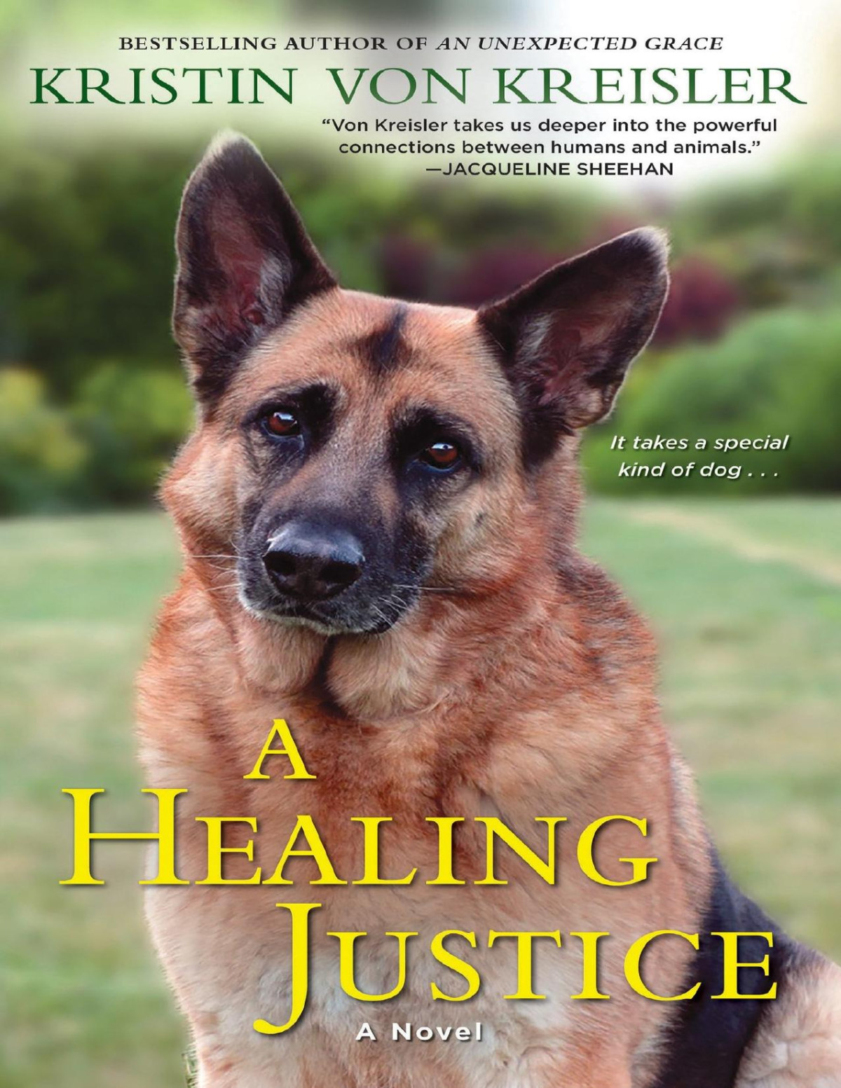 A Healing Justice Kristin Von Kreisler