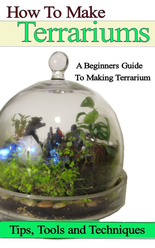 How To Make Terrariums Will Kalif