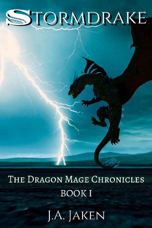 Stormdrake Dragon Mage Chronicles Ja Jaken