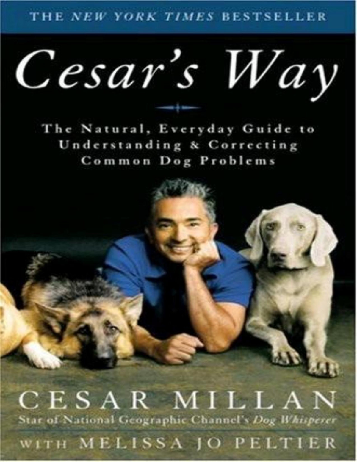 Cesars Way The Natural Everyday Guide To Understanding Correcting Common Dog Problems Cesar Millan
