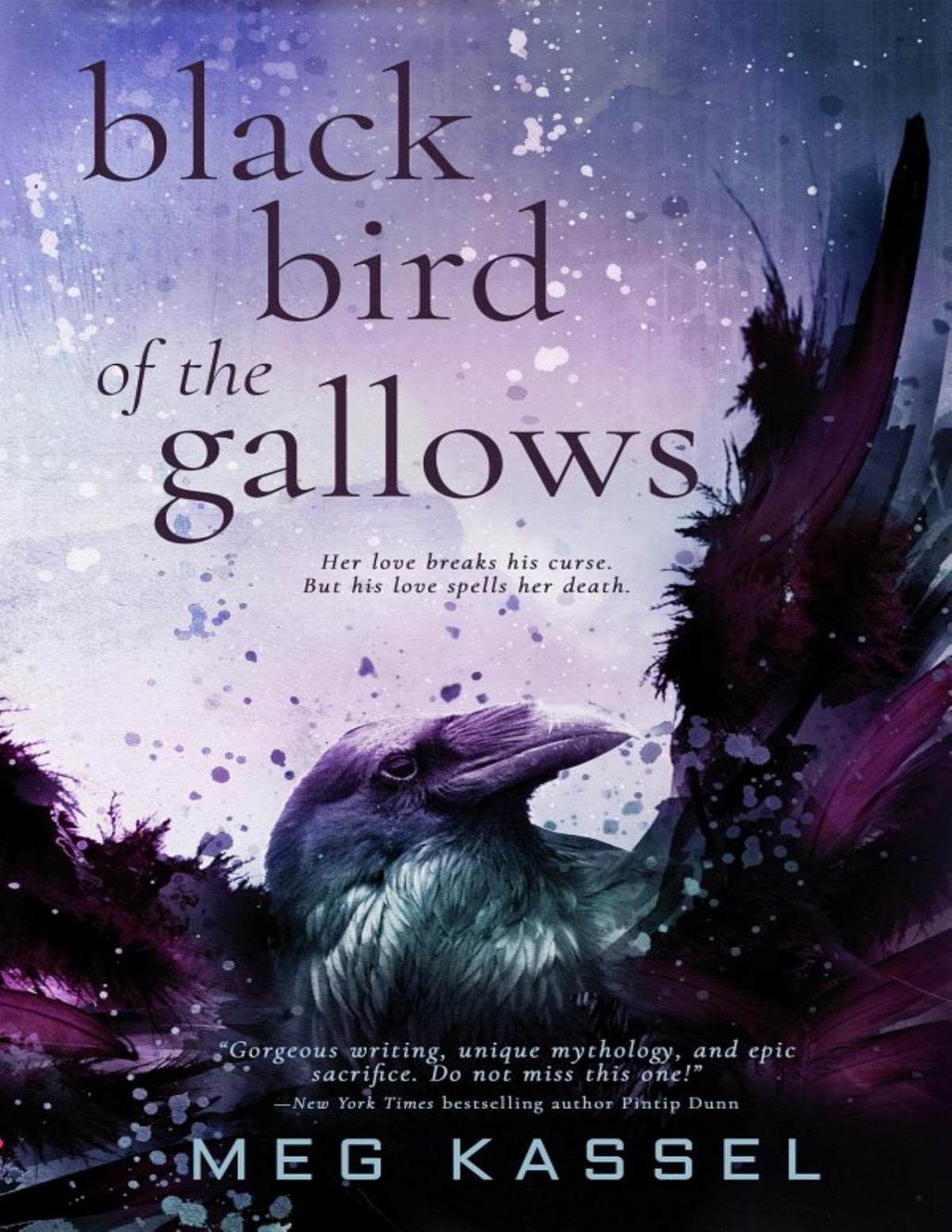 Black Bird Of The Gallows Meg Kassel