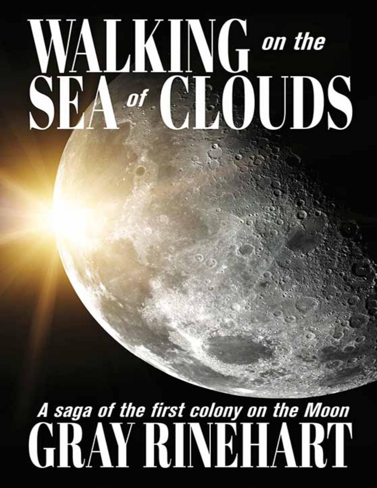 Walking On The Sea Of Clouds Gray Rinehart