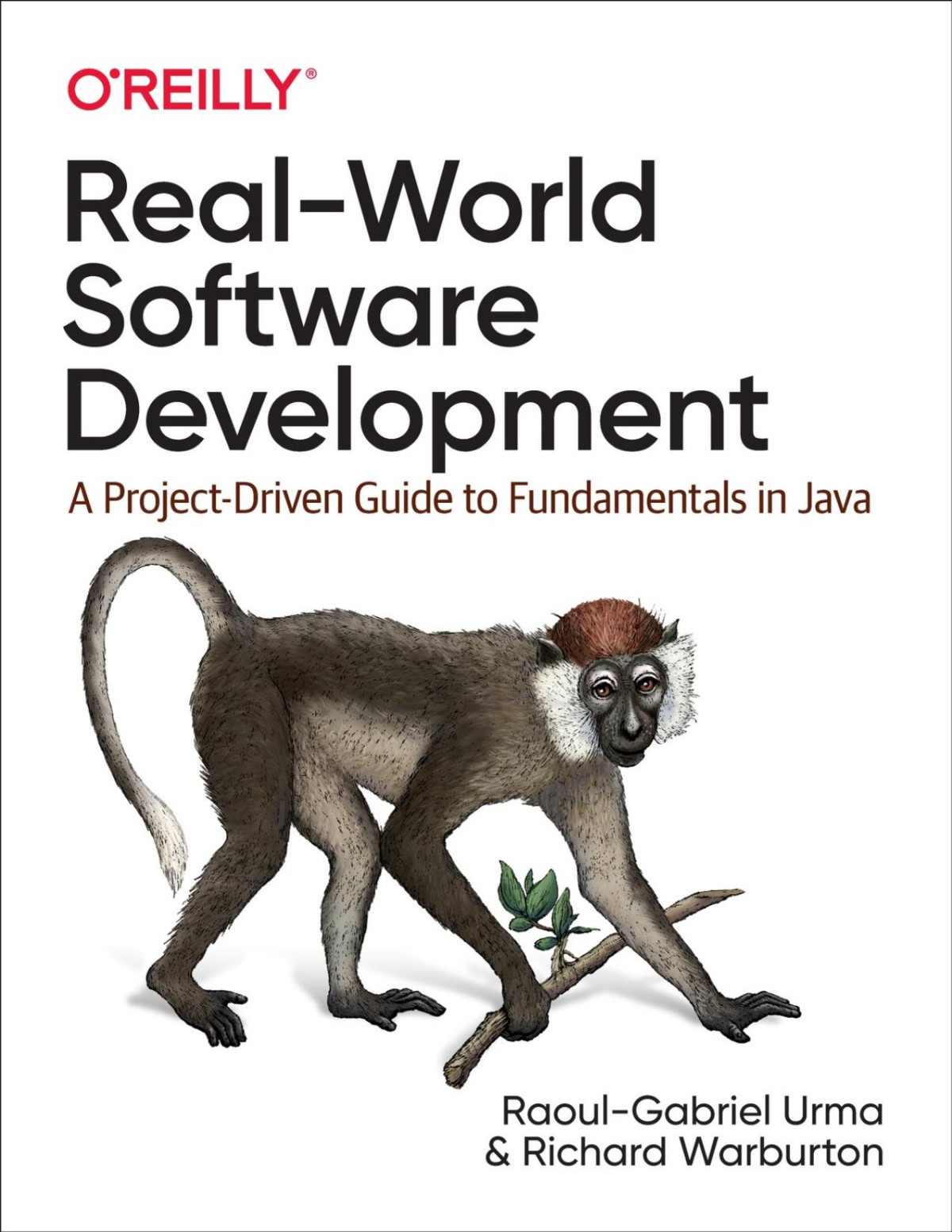 Realworld Software Development Richard Warburton Raoulgabriel Urma