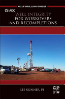 Well Integrity For Workovers And Recompletions Gulf Drilling Guides Skinner