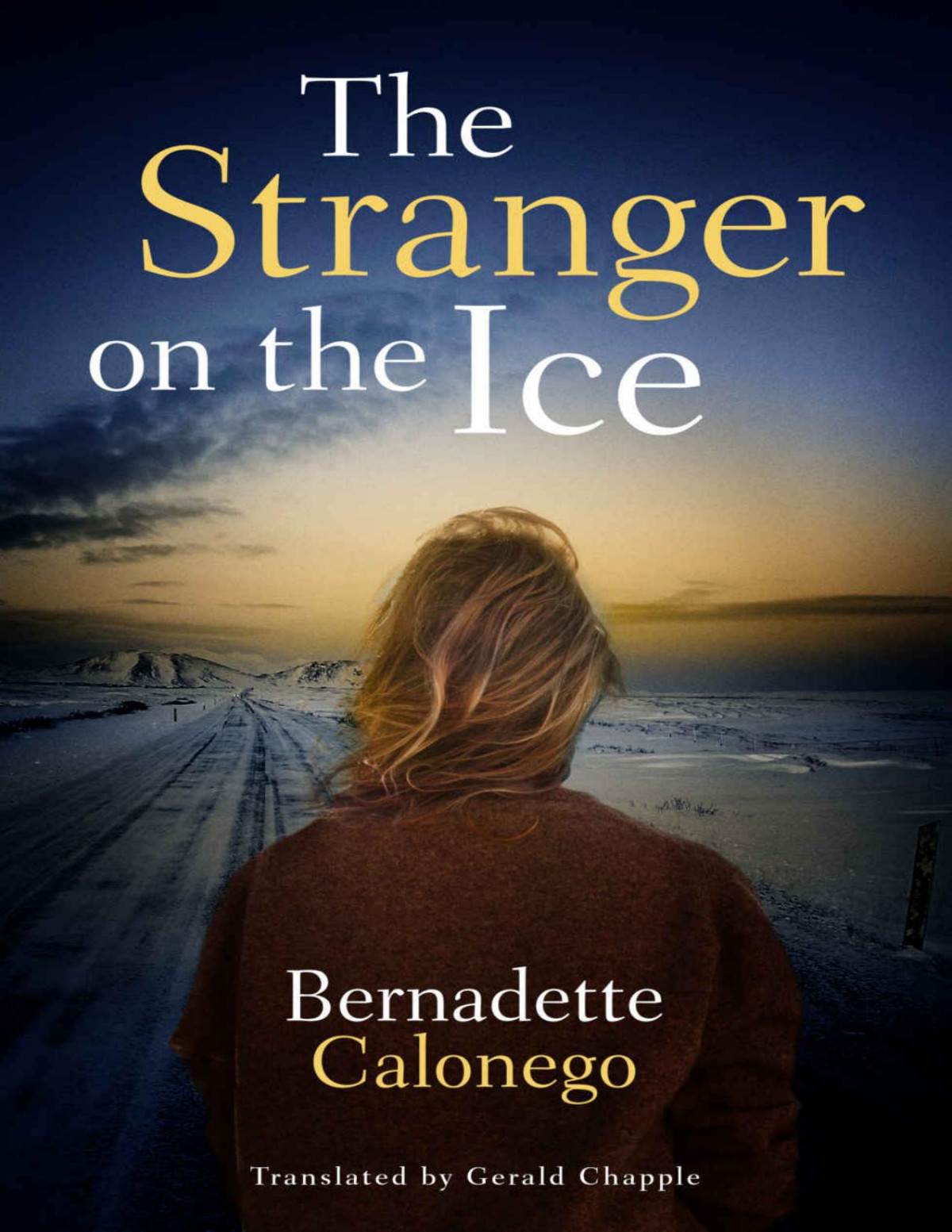 The Stranger On The Ice Bernadette Calonego