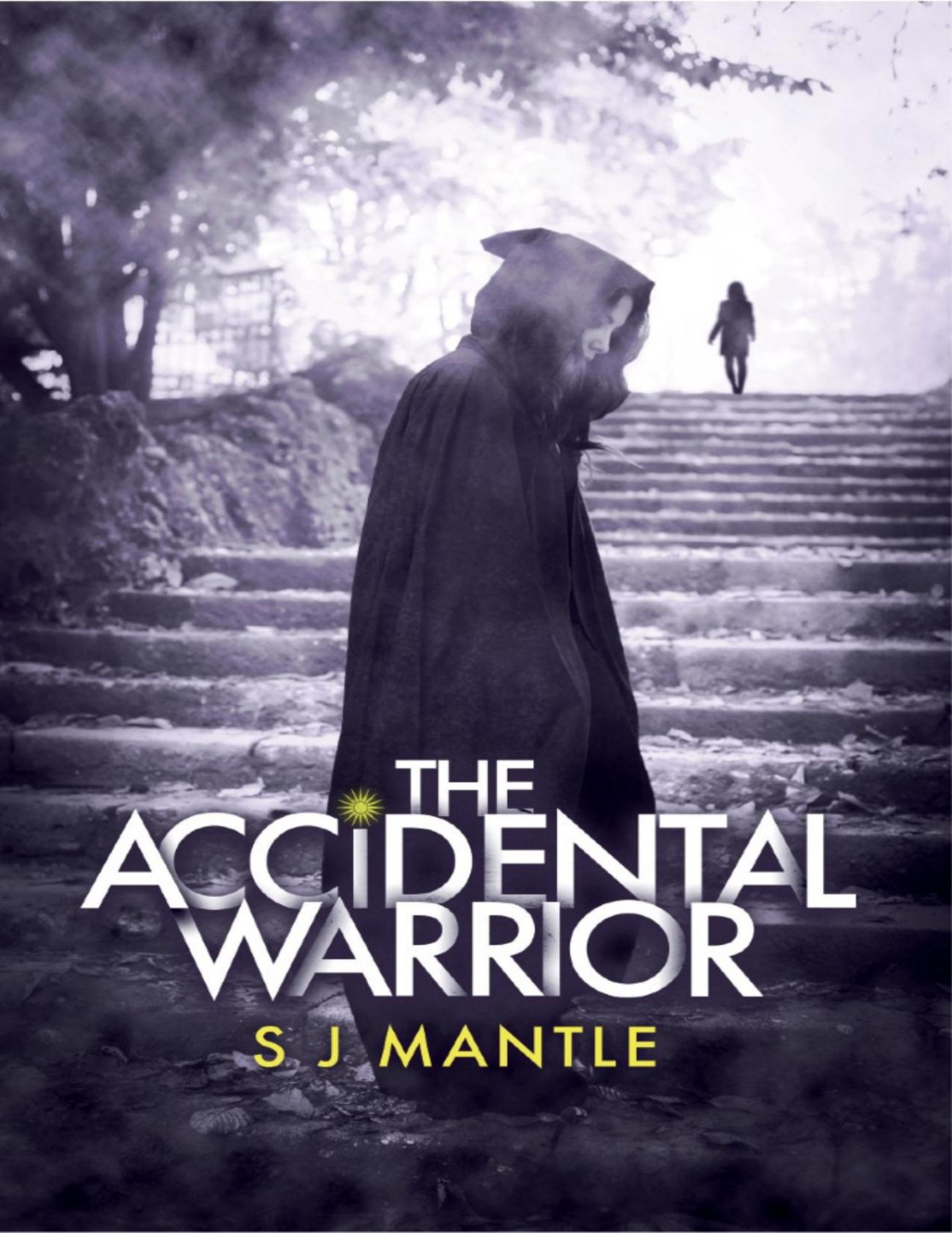 The Accidental Warrior S J Mantle