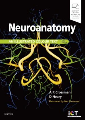 Neuroanatomy An Illustrated Colour Text 6th Ed 6th Edition Alan R Crossman