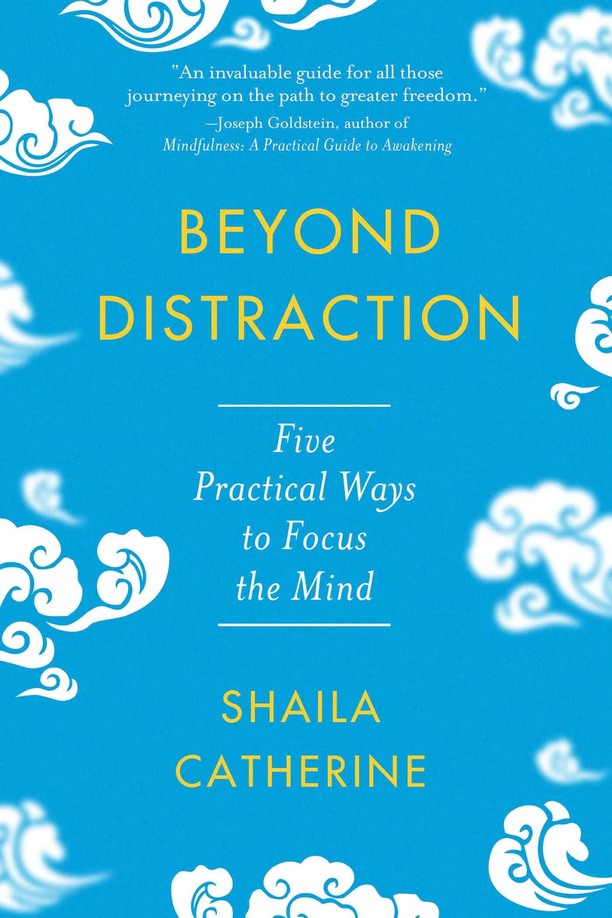 Beyond Distraction Five Practical Ways To Focus The Mind Shaila Catherine