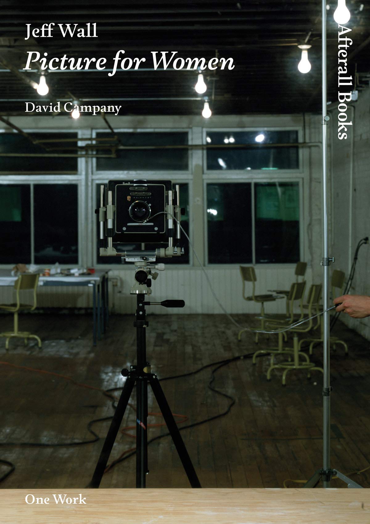 Jeff Wall Picture For Women Afterall Books One Work David Campany