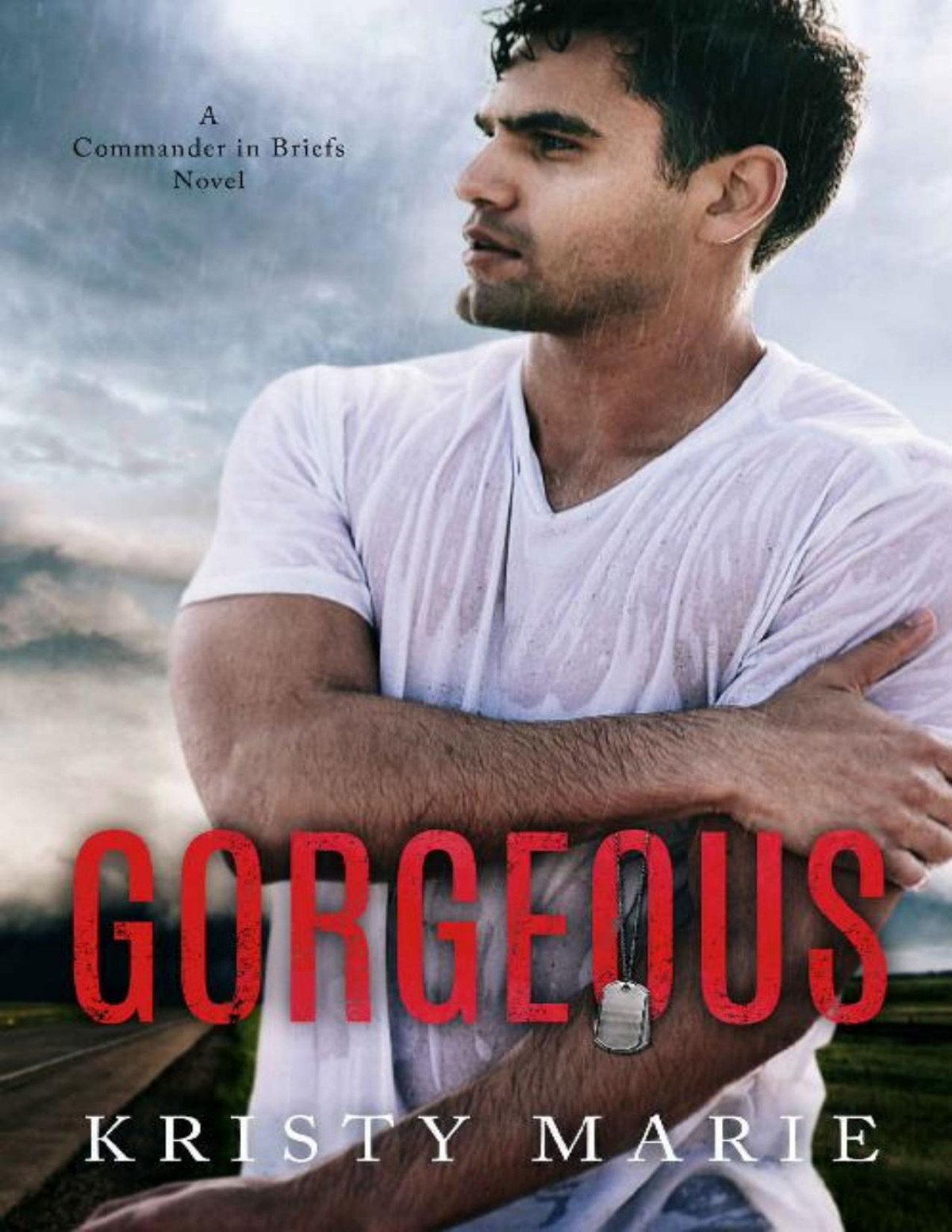 Gorgeous A Commander In Briefs Novel Kristy Marie