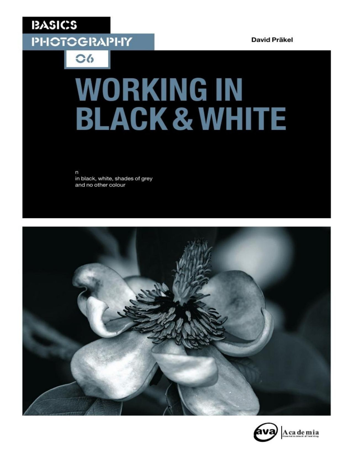Basics Photography 06 Working In Black White David Prakel